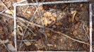 CE_157_2_1521d