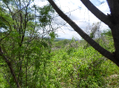 CE_165_2_1400