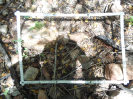 CE_166_3_1460d