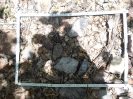 CE_166_4_1463b