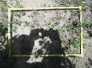 CE_167_4_908b
