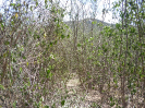 CE_169_4_4273