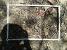 CE_174_3_130014a