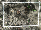 CE_174_4_135700a