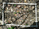 CE_174_4_140312c