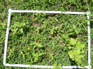 CE_175_4_471b