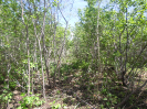 CE_176_1_1011