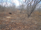 CE_179_4_495