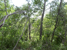 CE_187_4_1389