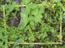 CE_188_4_850b