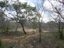 CE_190_1_936