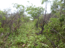 CE_191_4_1184