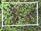 CE_191_4_1185a