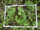 CE_191_4_1187b