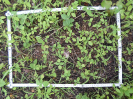 CE_191_4_1189d