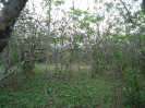 CE_193_0_4125