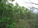 CE_193_1_4127
