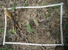 CE_193_1_4129b