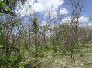 CE_197_4_557