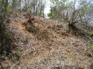 CE_216_1_4105