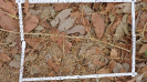 CE_217_2_1305c