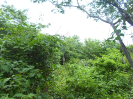 CE_222_0_1420