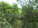 CE_222_1_1421