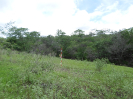 CE_227_3_0087