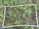 CE_227_3_0089b