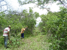 CE_227_4_0092