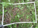 CE_227_4_0094b