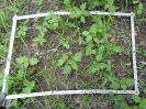 CE_227_4_0095c