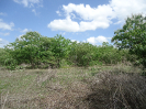 CE_230_1_3907