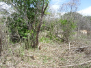CE_232_3_651