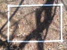CE_238_1_563c
