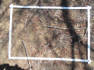 CE_238_1_564d