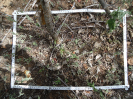 CE_242_2_4170d
