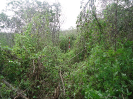 CE_244_4_3628