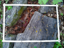 CE_247_4_101712d