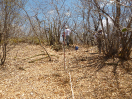 CE_254_2_480