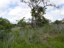 CE_258_4_1075