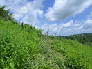 CE_262_4_1809