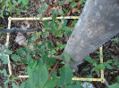 CE_265_3_3648d