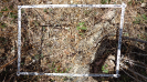 CE_268_2_1618d
