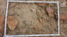 CE_268_3_1624b
