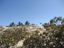 CE_27_3_2883