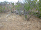 CE_283_0_579c