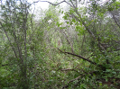 CE_286_1_4549
