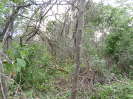 CE_286_2_4554