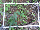 CE_286_2_4558d